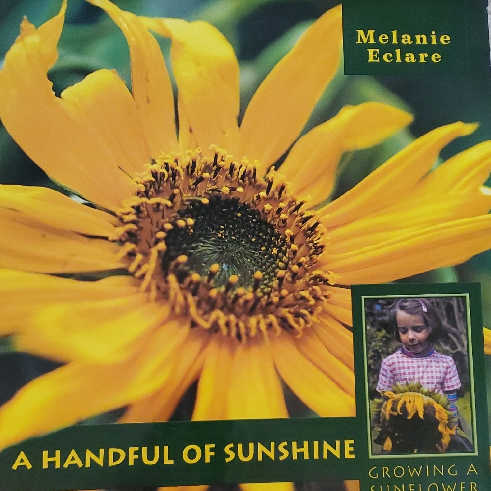 RARE - A Handful of Sunshine: Growing a Sunflower - By Melanie Eclare